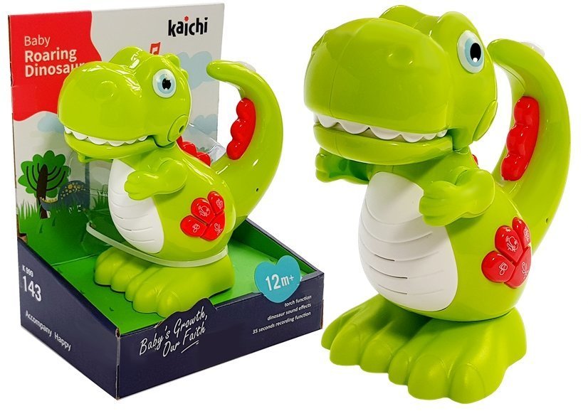 Roaring dinosaur baby toy