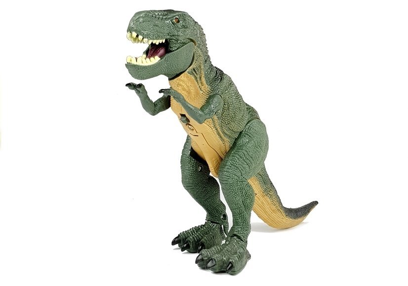 Big Dinosaur Tyranosaurus Rex Battery Powered Walking