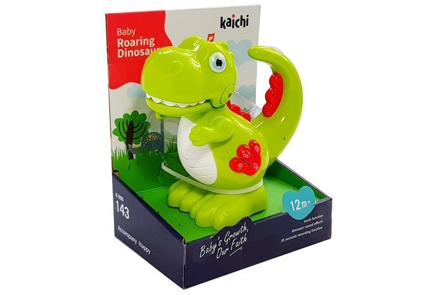 Roaring dinosaur baby toy