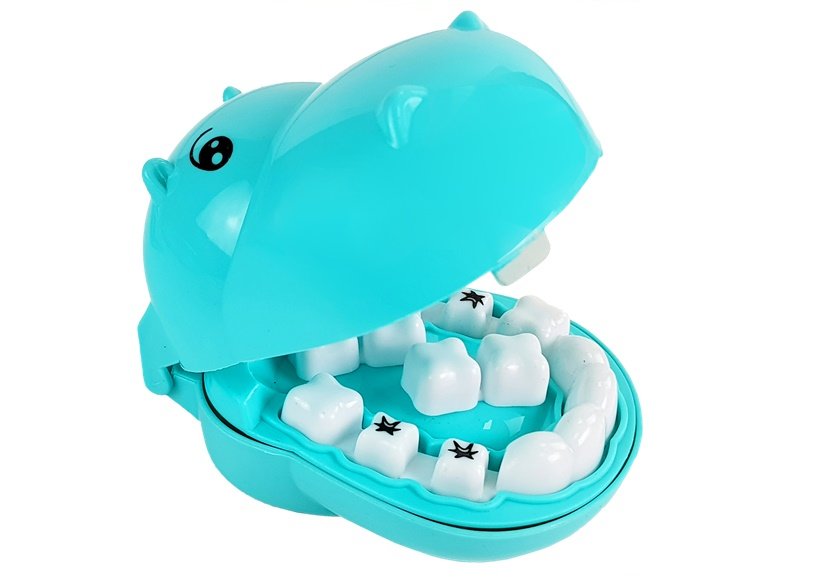 Little Dentist Set Hippopotamus Dentist Schedule