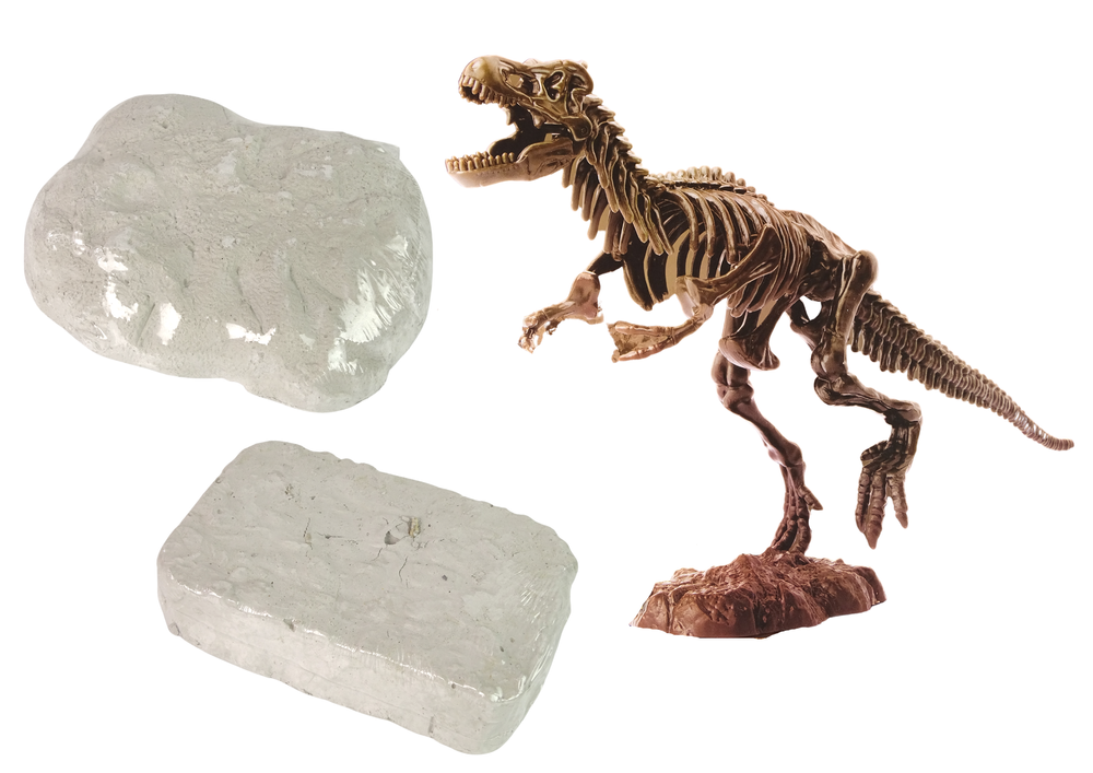 Archaeology 2-in-1 Dinosaur Skeleton Tyrannosaurus Set