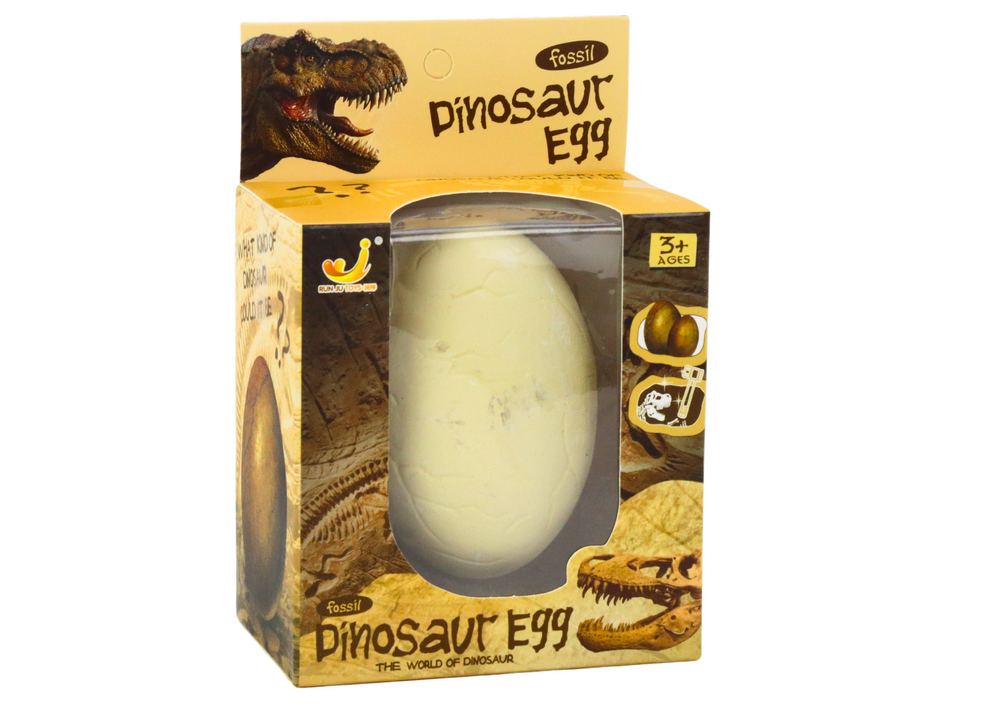 Archaeologist Set Dinosaur Egg Excavation Fossil Tools