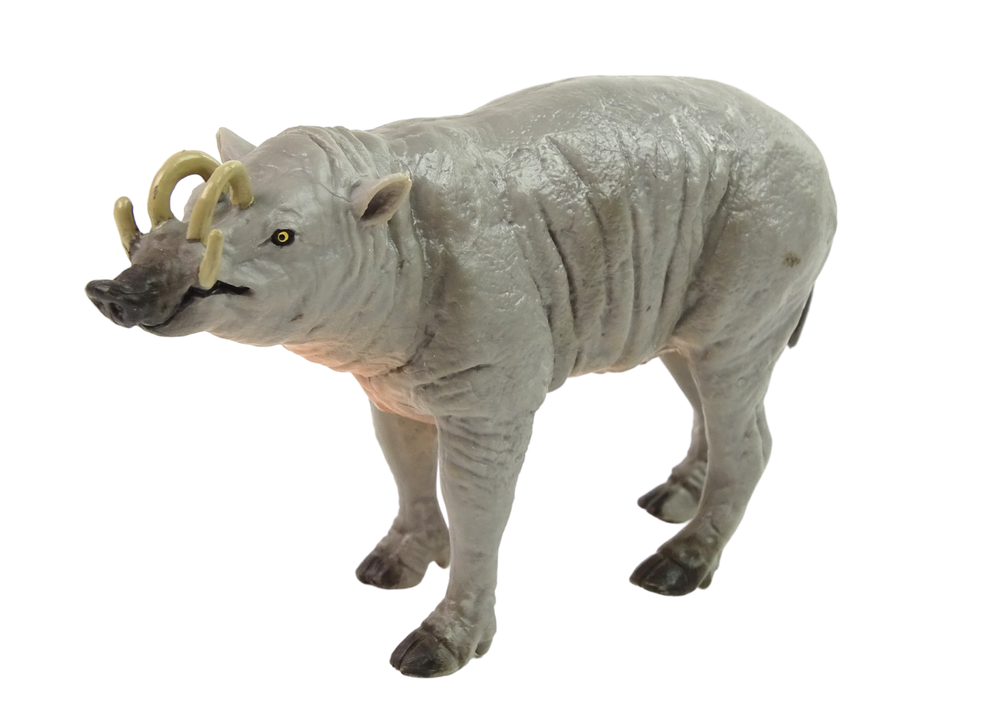 Collector's figurine Babirussa Sulaweska Animals of the World