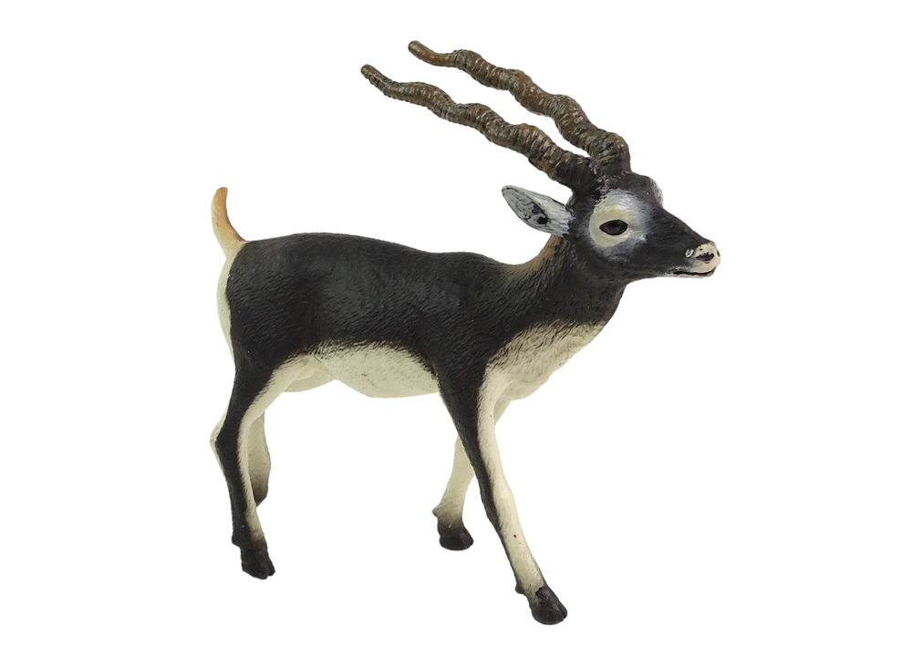 Blackbuck Antelope Collector's Figurine Animals of the World