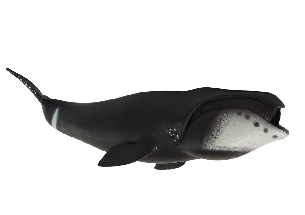 Large Greenland Whale Collector's Figurine World The Sea