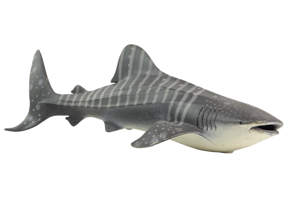 Large Whale Shark Collector's  Figurine World The Sea