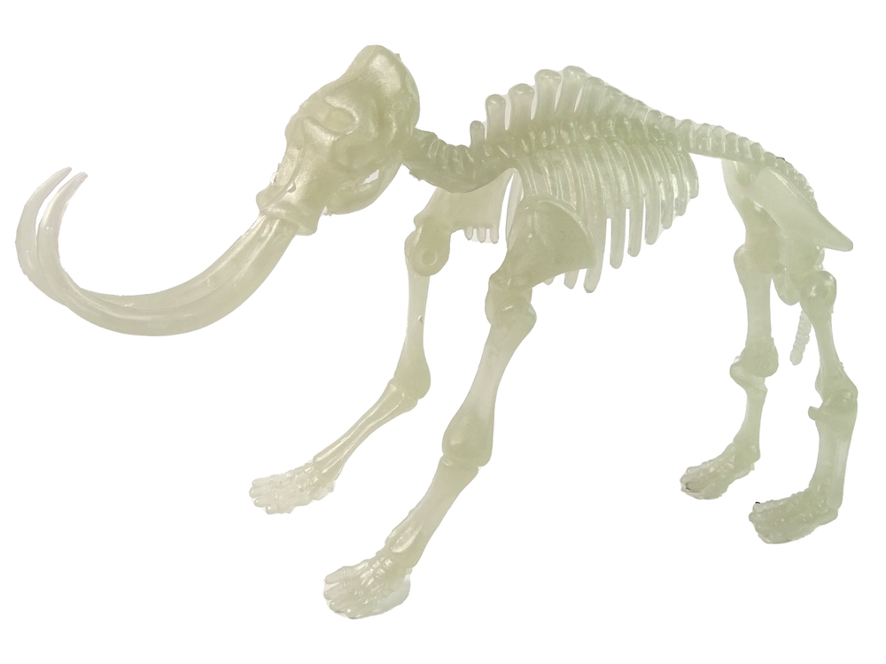 Glow-in-the-Dark 3D Skeleton Mammoth Dinosaurs in an Egg