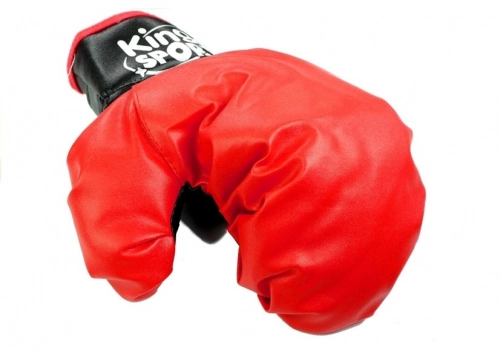 Big Boxer Set For Kids + Gloves Pear Stand
