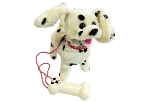 Dalmatian Dog Leash Controlled Pilot Bone