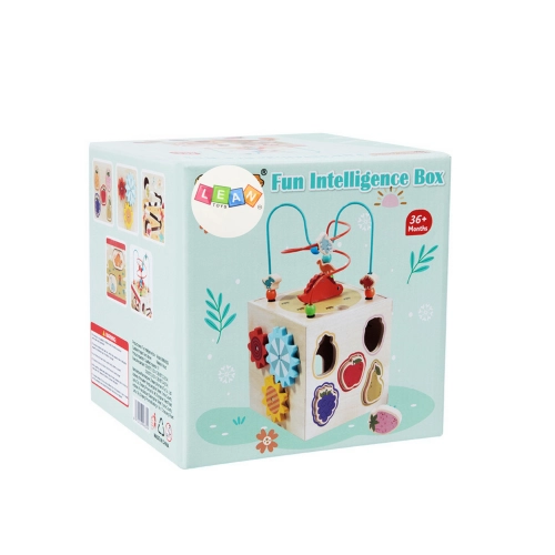 Educational Cube Sensory Sorter 5 Levels Wooden
