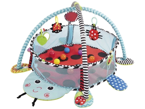 Educational Mat Ladybird Playpen Balls for Baby