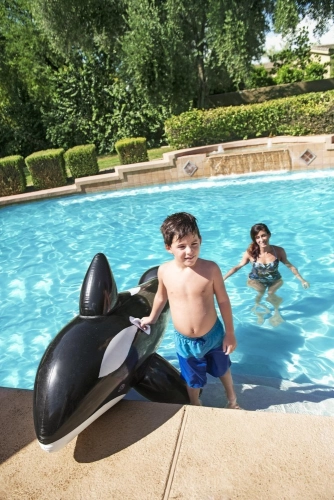 Inflatable Orca 203 cm x 103 cm Bestway 41009