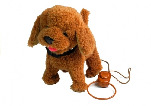 Interactive Dog On a Leash with Dog House Poodle