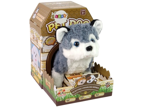 Interactive Husky Dog Mascot Walks Moves Tail Sound