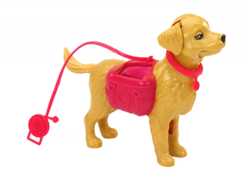 Lelle ar suni Veterinārā klīnika