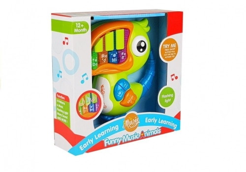 Parrot Piano Educational Early Learning Green