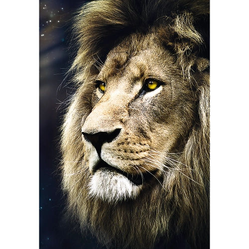 Puzzle - 1500 - Lion portrait / 500 px 26139