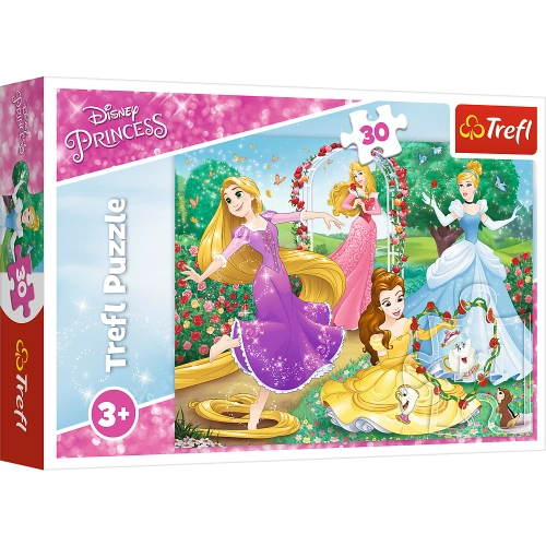 Puzzle - 30 - Being a Princess - Disney Princess 18267