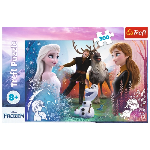Puzzle - 300 - Magic time - Disney Frozen 2 23006