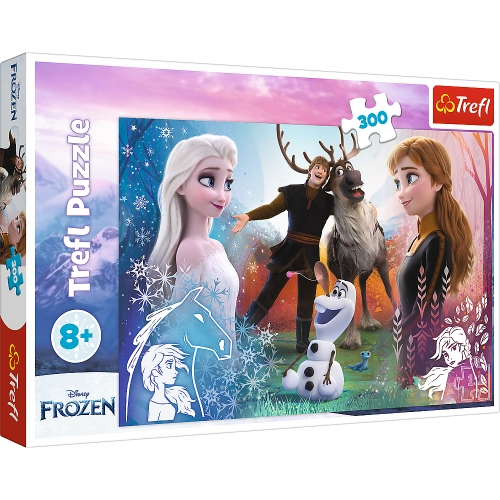 Puzzle - 300 - Magic time - Disney Frozen 2 23006