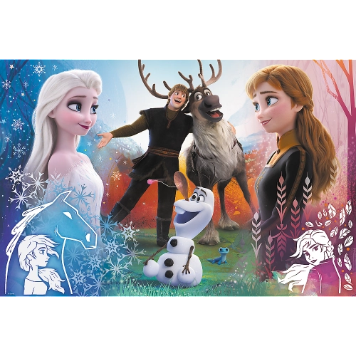 Puzzle - 300 - Magic time - Disney Frozen 2 23006