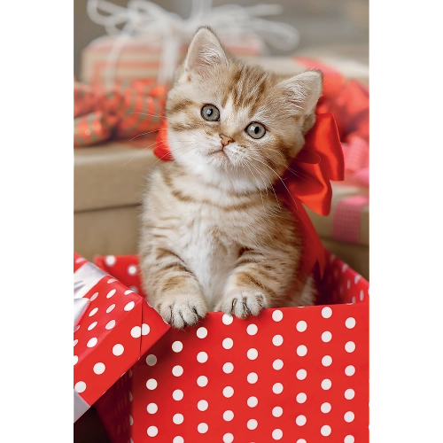 Puzzle - 54 mini - Cute animals - Trefl 54195