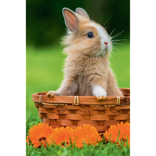 Puzzle - 54 mini - Cute animals - Trefl 54195