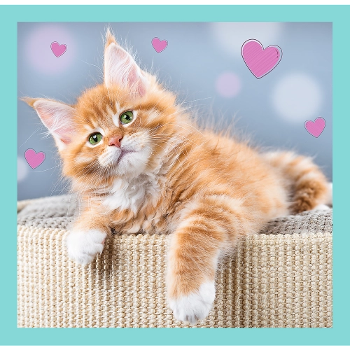 Puzzle - "3 in 1" - Cute animals Trefl 34862