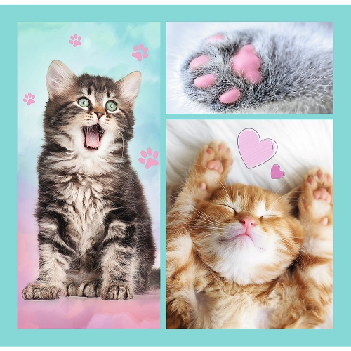 Puzzle - "3 in 1" - Cute animals Trefl 34862