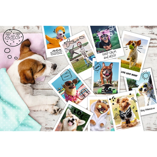 Puzzle - "300" - Holiday photos / Trefl 23003