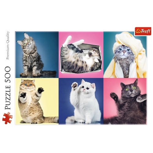 Puzzle 500 pcs. Kittens Trefl 37377