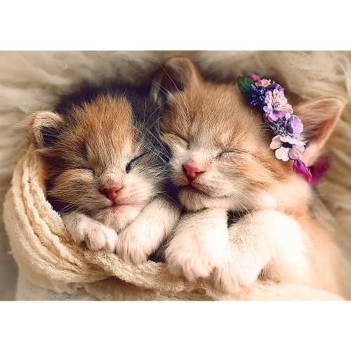 Puzzle 500 pcs. Sleeping kittens Trefl 37271