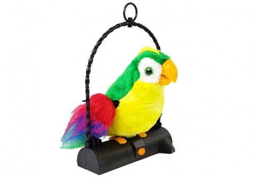 The Bird Parrot Repeats The Words Green