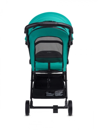 Anex Air-X Green Pastaigu rati