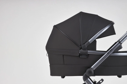 Anex L/Type Onyx Детская коляска 2 в 1