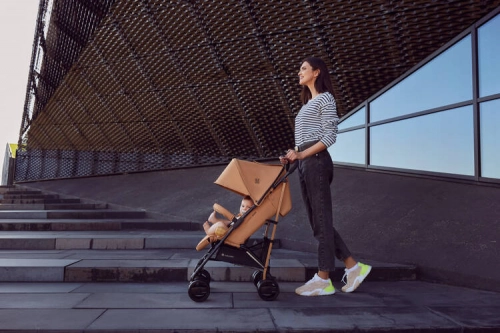 Euro-Cart Ezzo Iron Прогулочная коляска