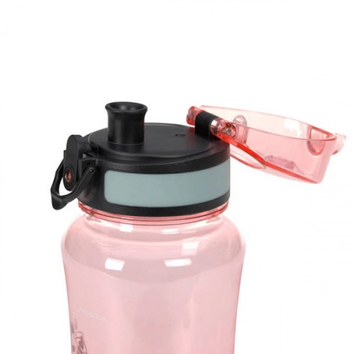Lassig Zestaw Na Lunch Lunchbox + Butelka Tritanowa Bidon 460ml About Friends Dinozaur Różowy