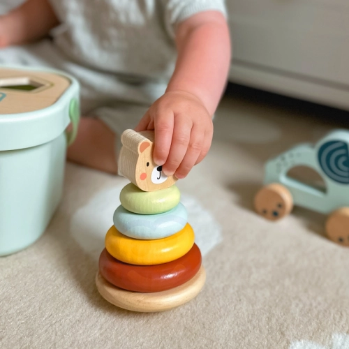WOOPIE Sortieris ar rotaļlietām 3in1