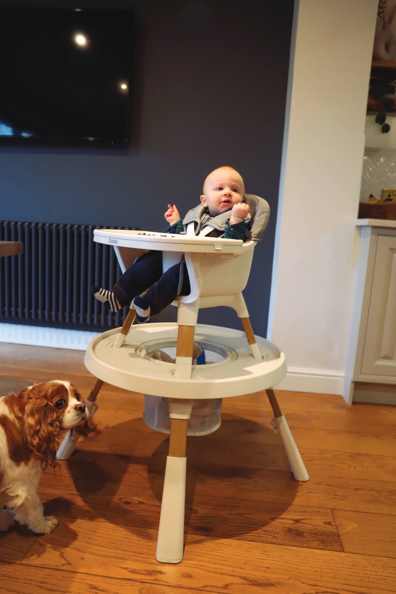 OYSTER HOME HIGHCHAIR 4 IN 1 FOSSIL