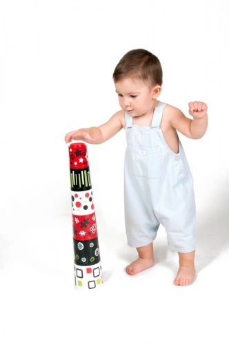 FIRST SENSES: CUPS