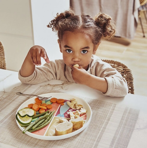NUTRIHEALTHY PLATE TERRA