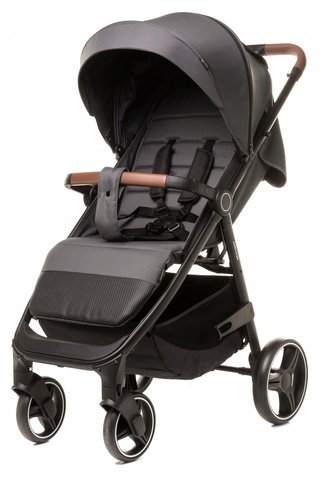 4BABY STINGER 2023 graphite Pastaigu rati