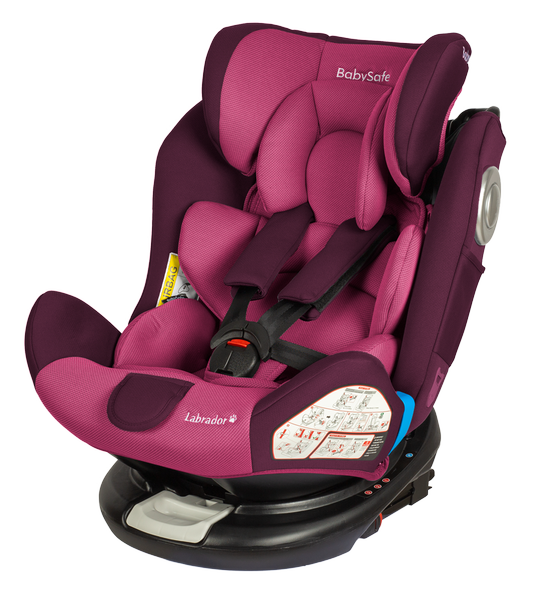 BabySafe Labrador Pink violet Bērnu autosēdeklis 0-36 kg