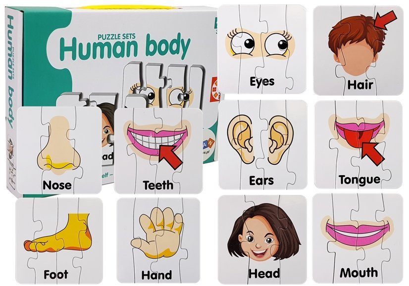 Educational Puzzle Body Parts Jigsaw Puzzle 10 English Connections