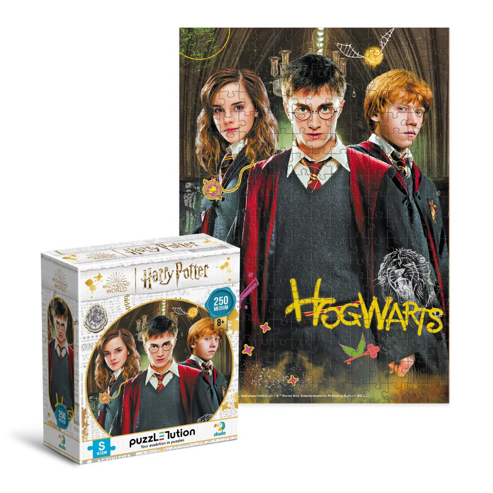 Развивающие пазл Medium-S Harry Potter Harry and friends 250 pcs