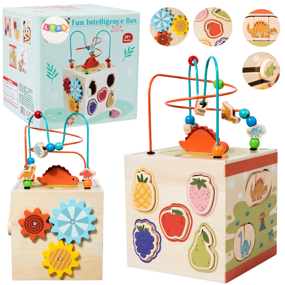 Educational Cube Sensory Sorter 5 Levels Wooden