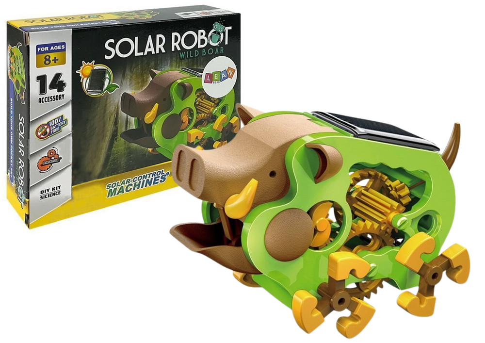 Educational Solar Robot Boar DIY