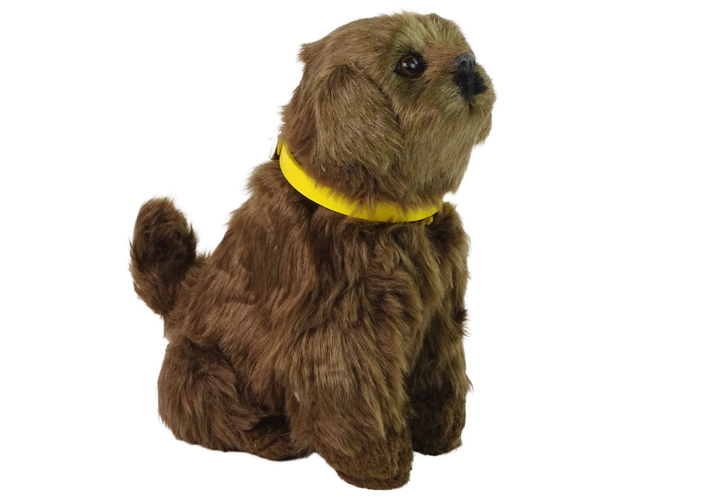 Interactive Plush Dog Soft fur Stroke its head and learn its functions