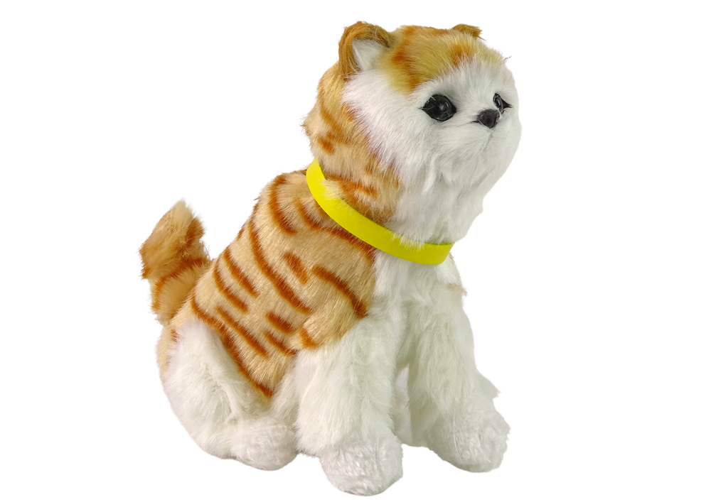 Interactive Plush Kitty Soft fur Stroke its head and learn its functions