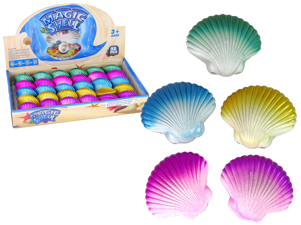 Sea Animals Growing Magic Shell 6 cm.